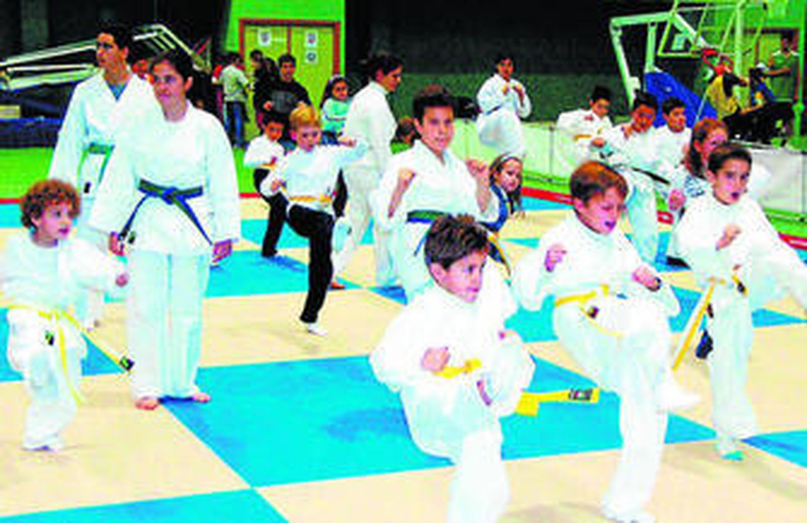 Algunos deportes, como judo o karate, despiertan gran interés en niños y niñas.