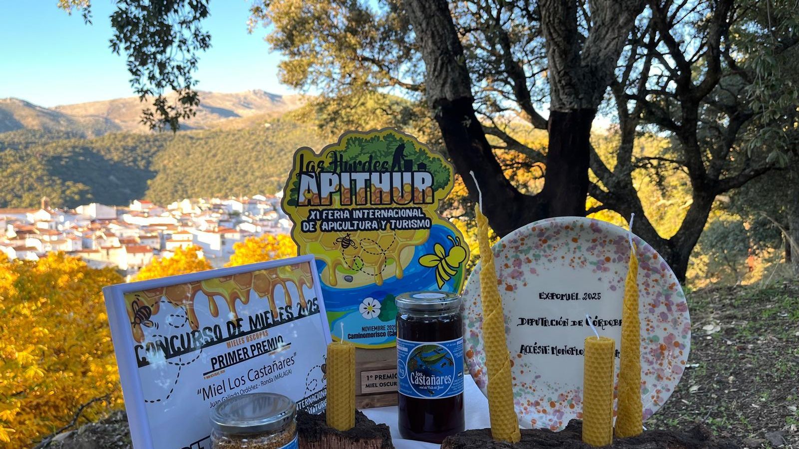 Premios conseguidos este año.