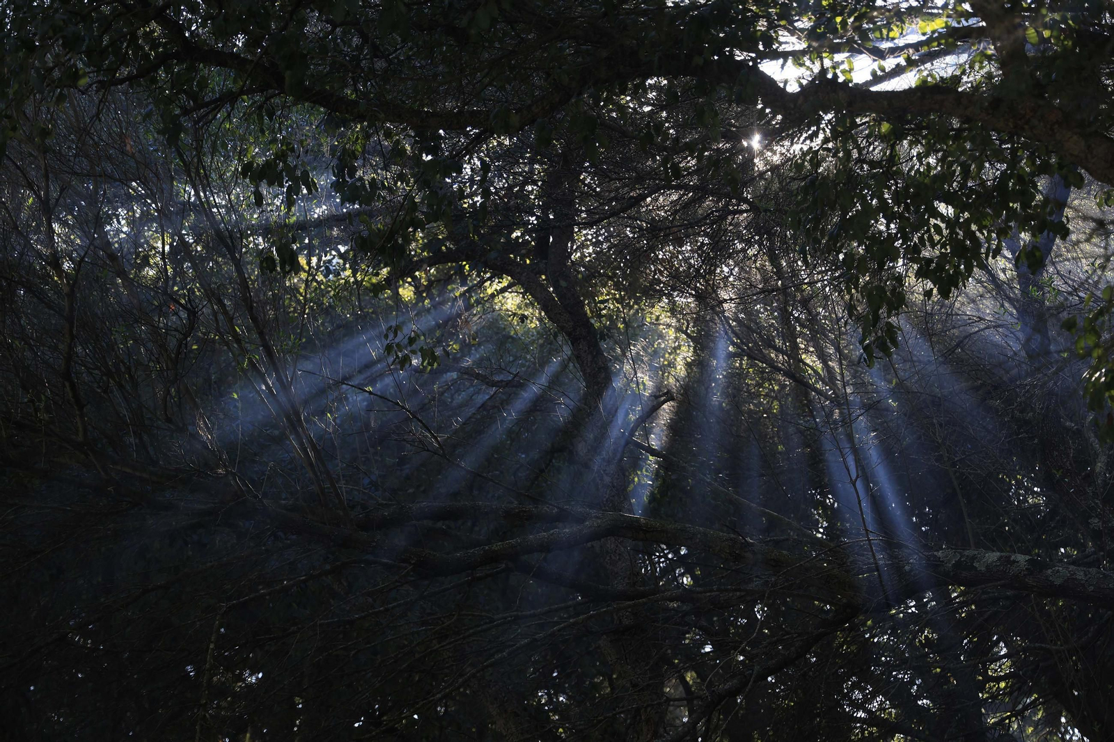 Las fotos de la inauguración del Belén Viviente de Pelayo en Algeciras