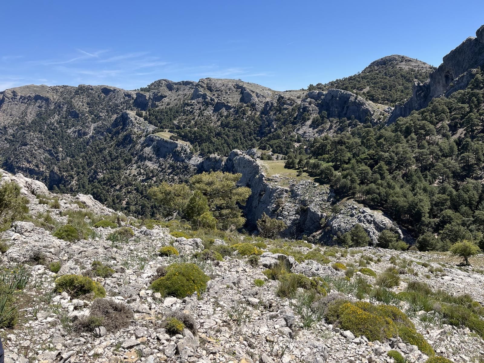 Entorno de la Cascada del Arroyo Blanquillo.