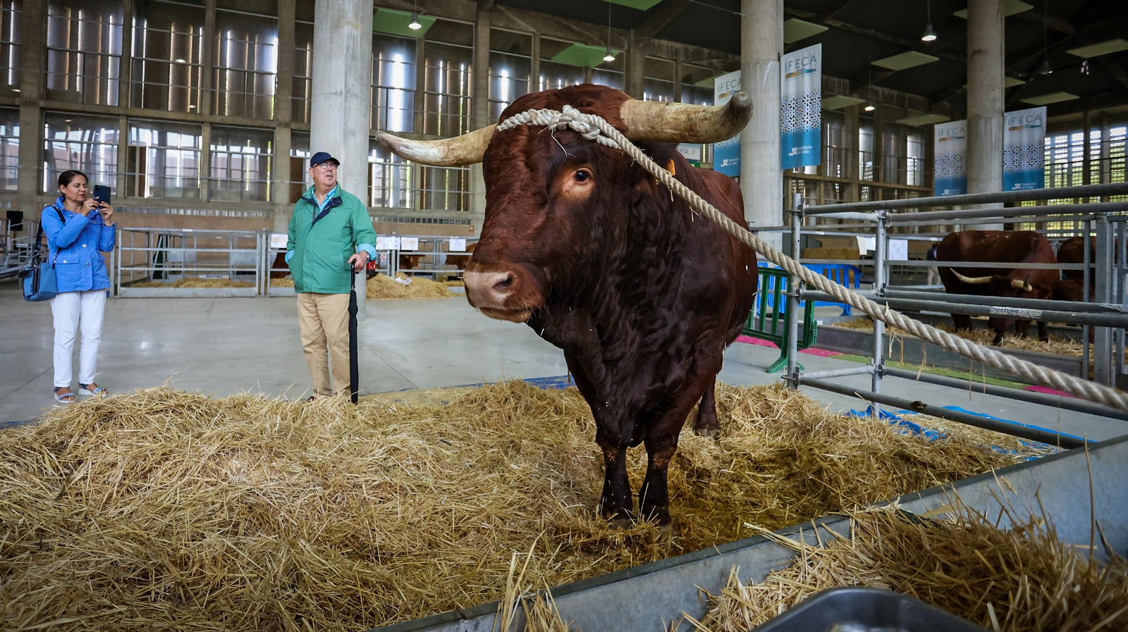 Comienza la feria de la ganadería y la agricultura en IFECA