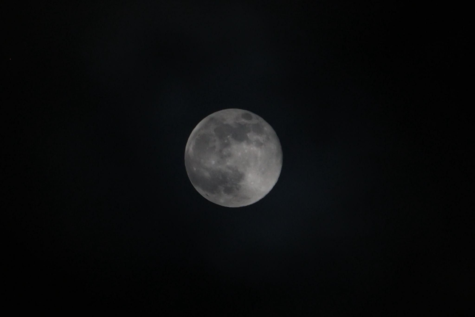 La Luna del Castor, en el Campo de Gibraltar.