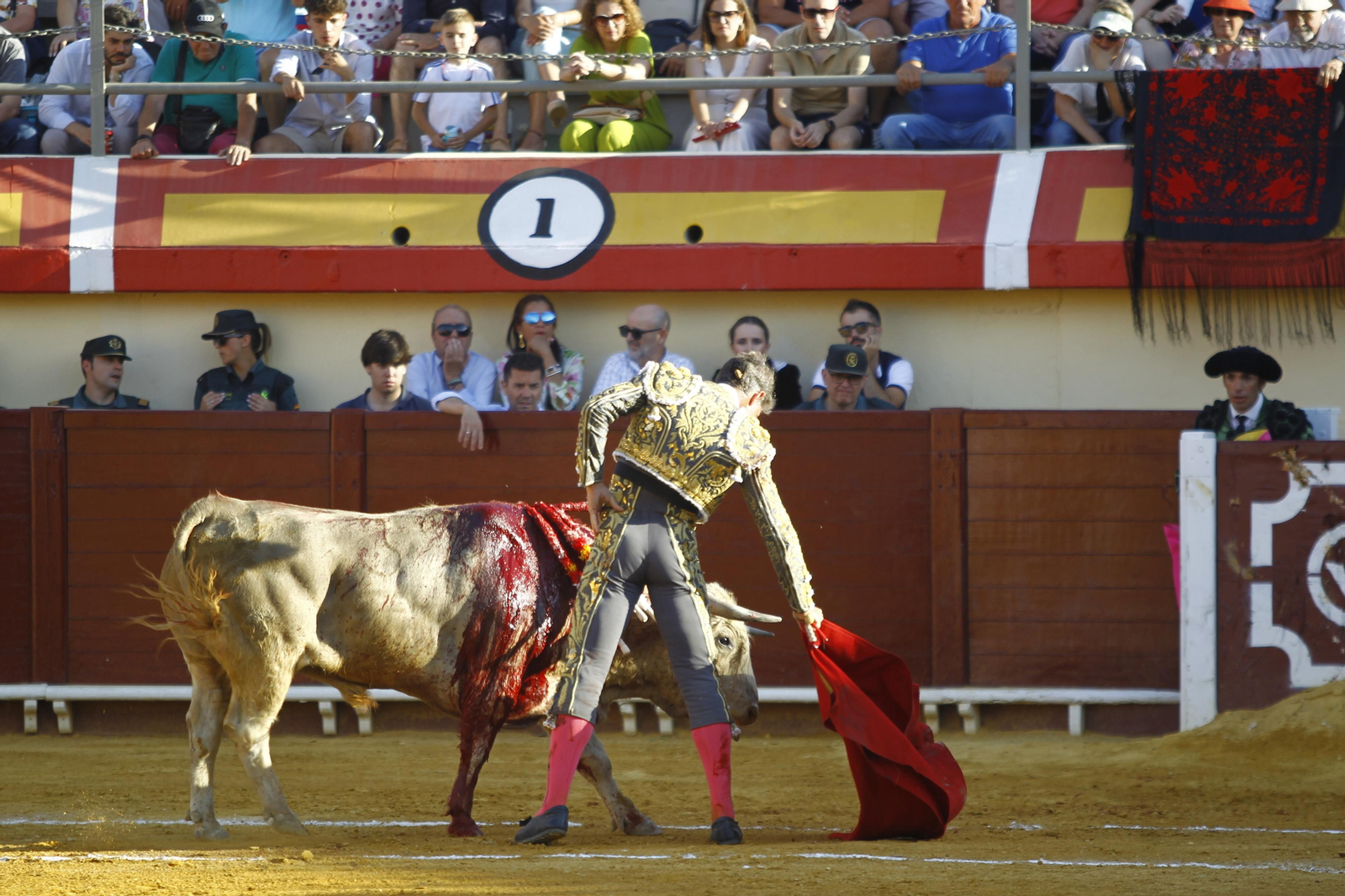 Imágenes de la corrida de Toros en Vera