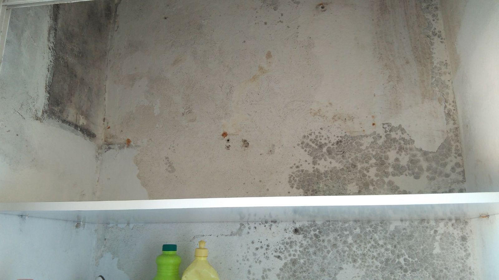 Imagen de una de las paredes afectadas por la humedad.