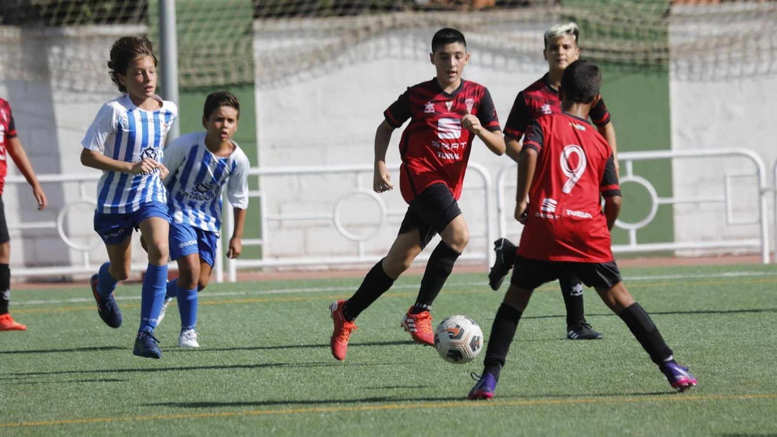 Las fotos del Torneo de alevines en el campo de Los Olivíllos en San Roque