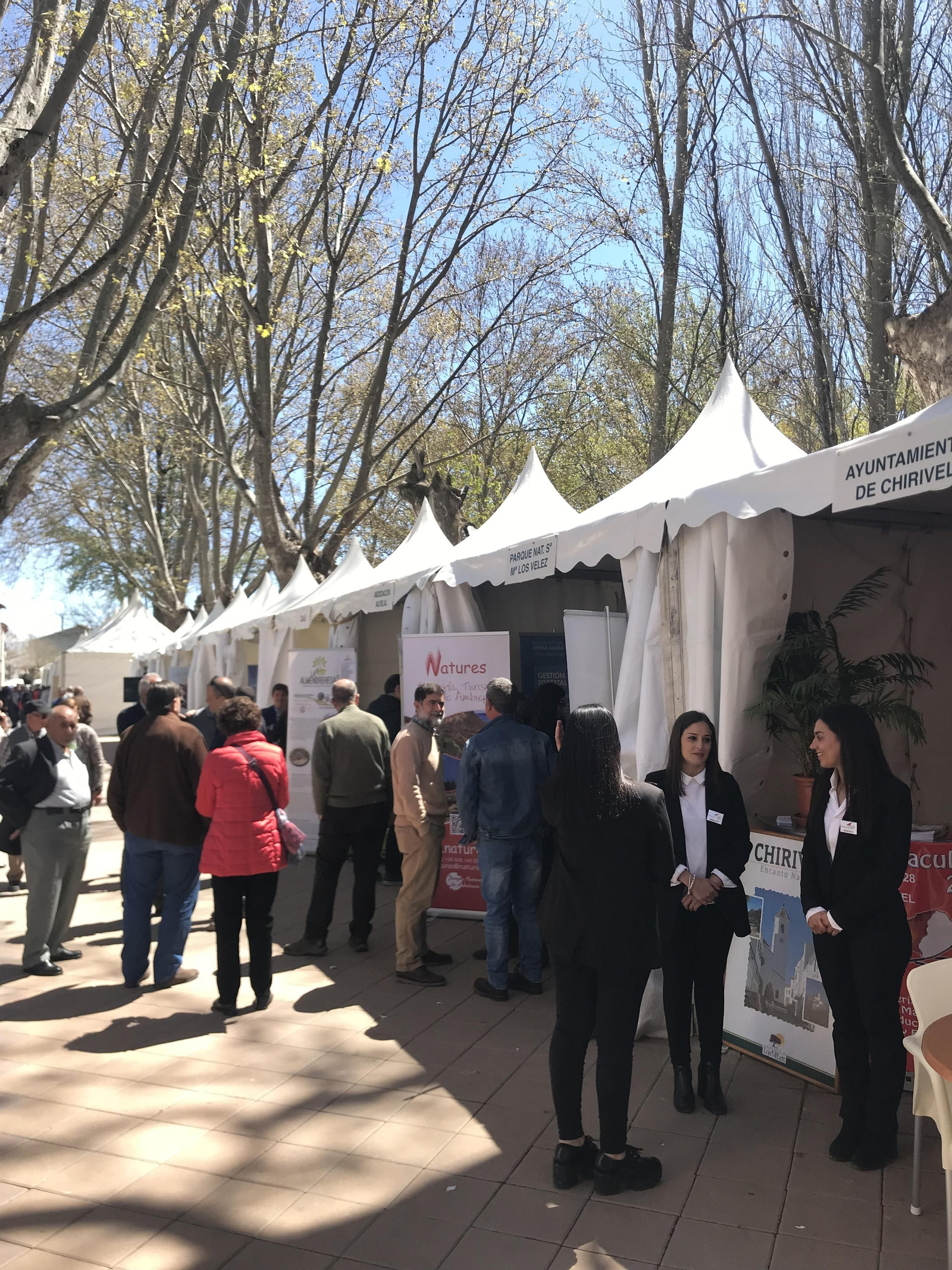 Imágenes de Terracultura 2019, en Chirivel