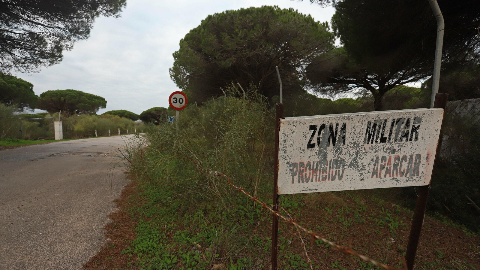 Las mejores fotos de Paloma Baja