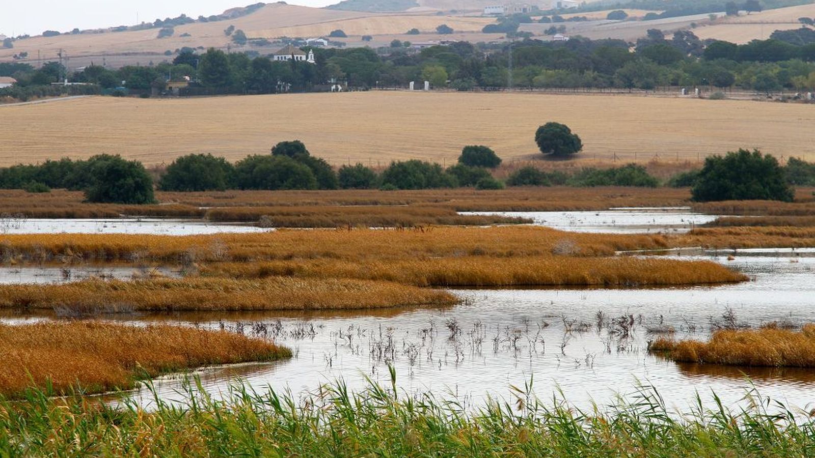 Laguna de los Tollos.