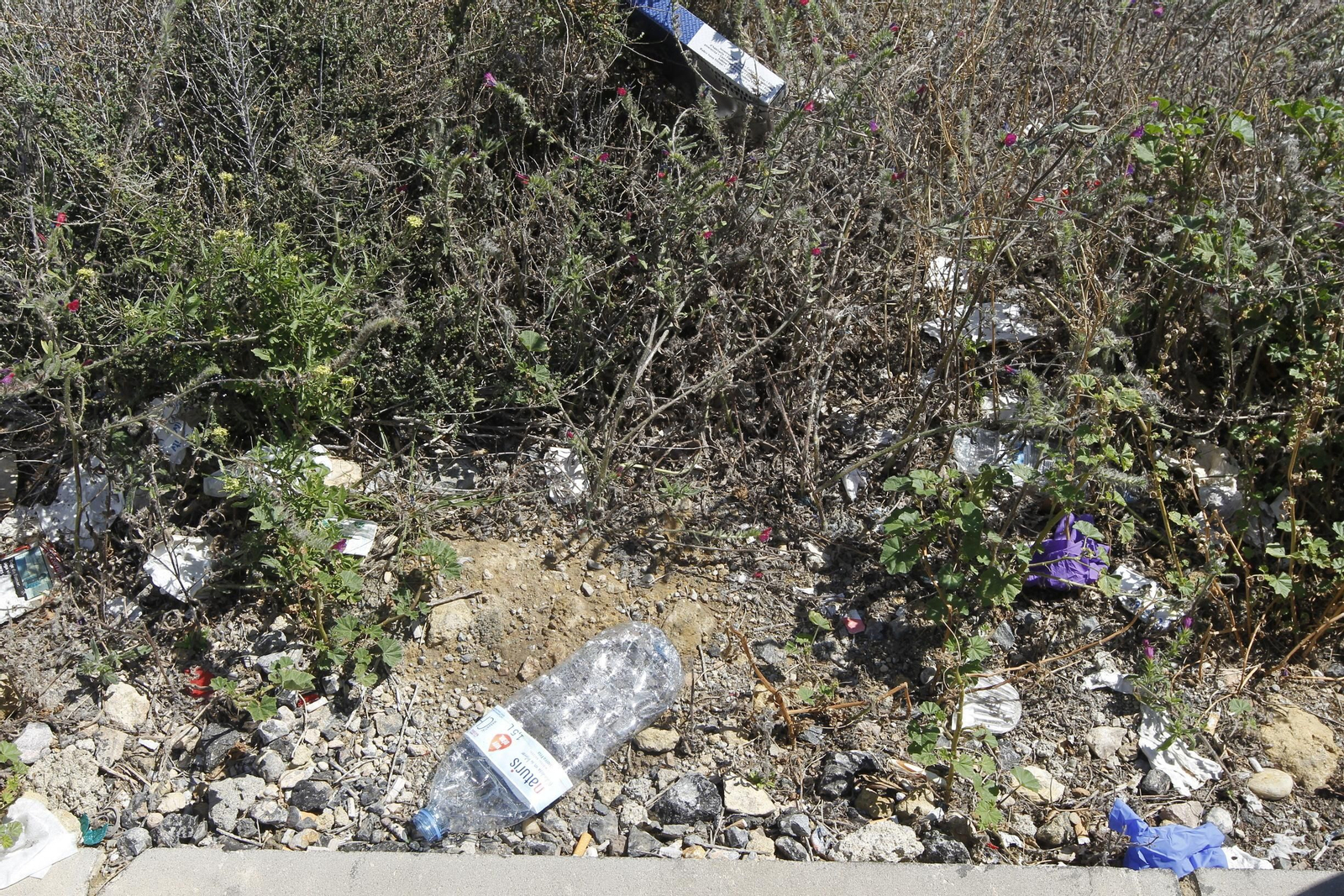 Fotogalería Coronavirus Almería-COVID-19