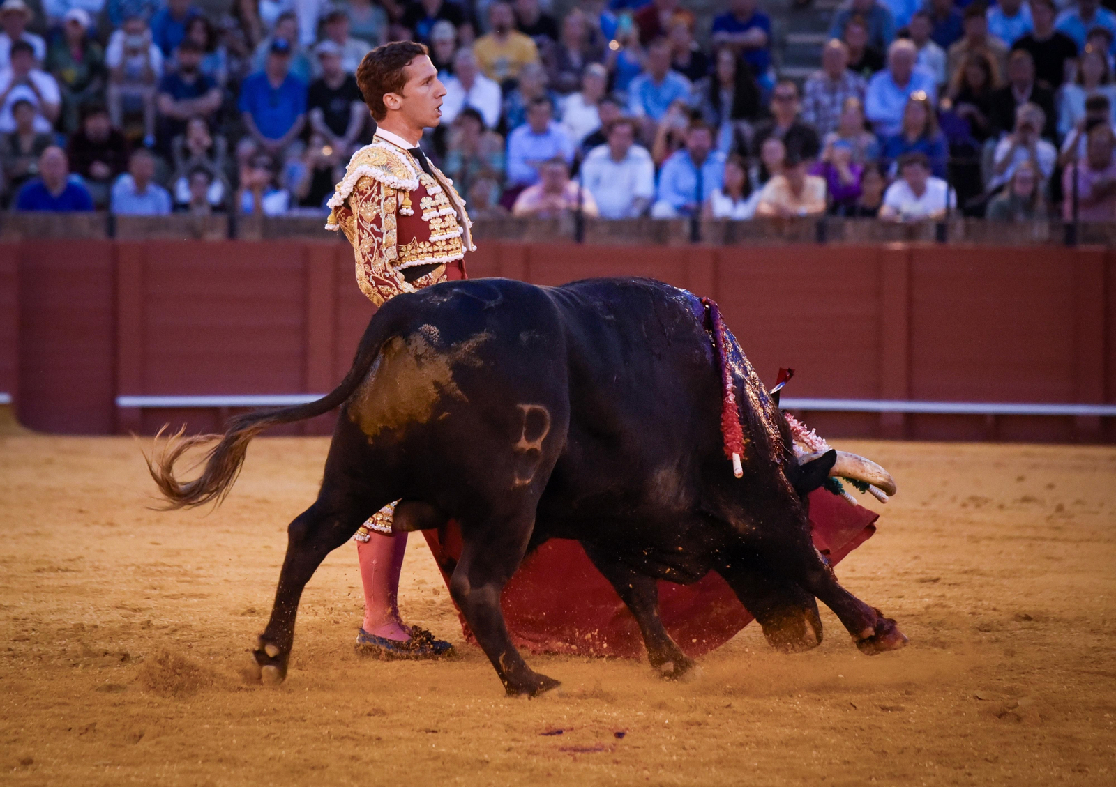 La segunda del abono de la Real Maestranza, en imágenes