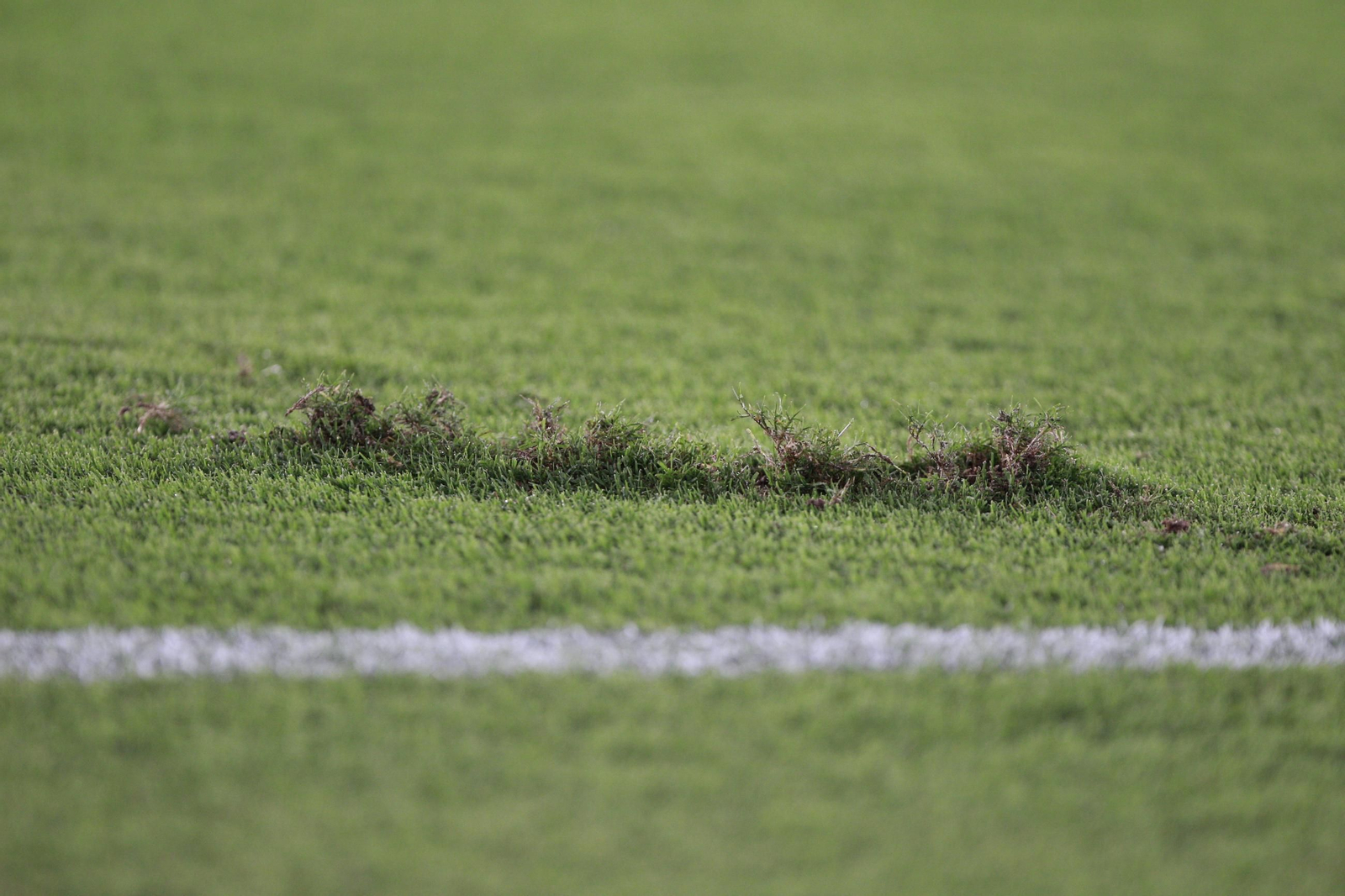 El partido U.D. Almería-Sporting de Gijón, en imágenes