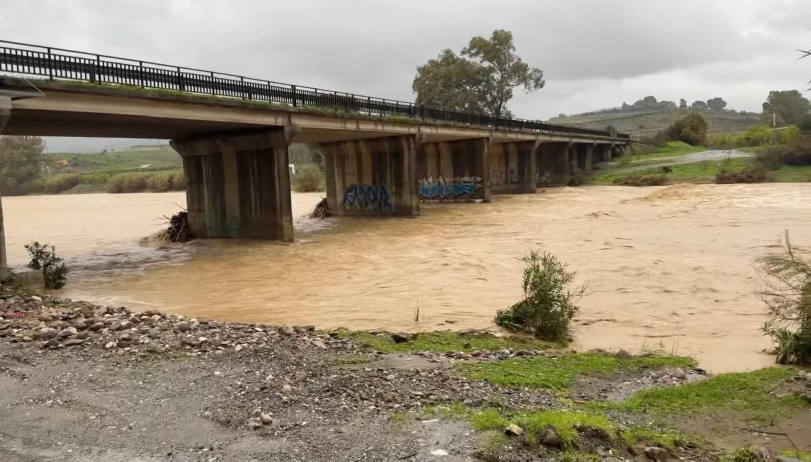 Río Grande a su paso por Cártama la mañana de este domingo.