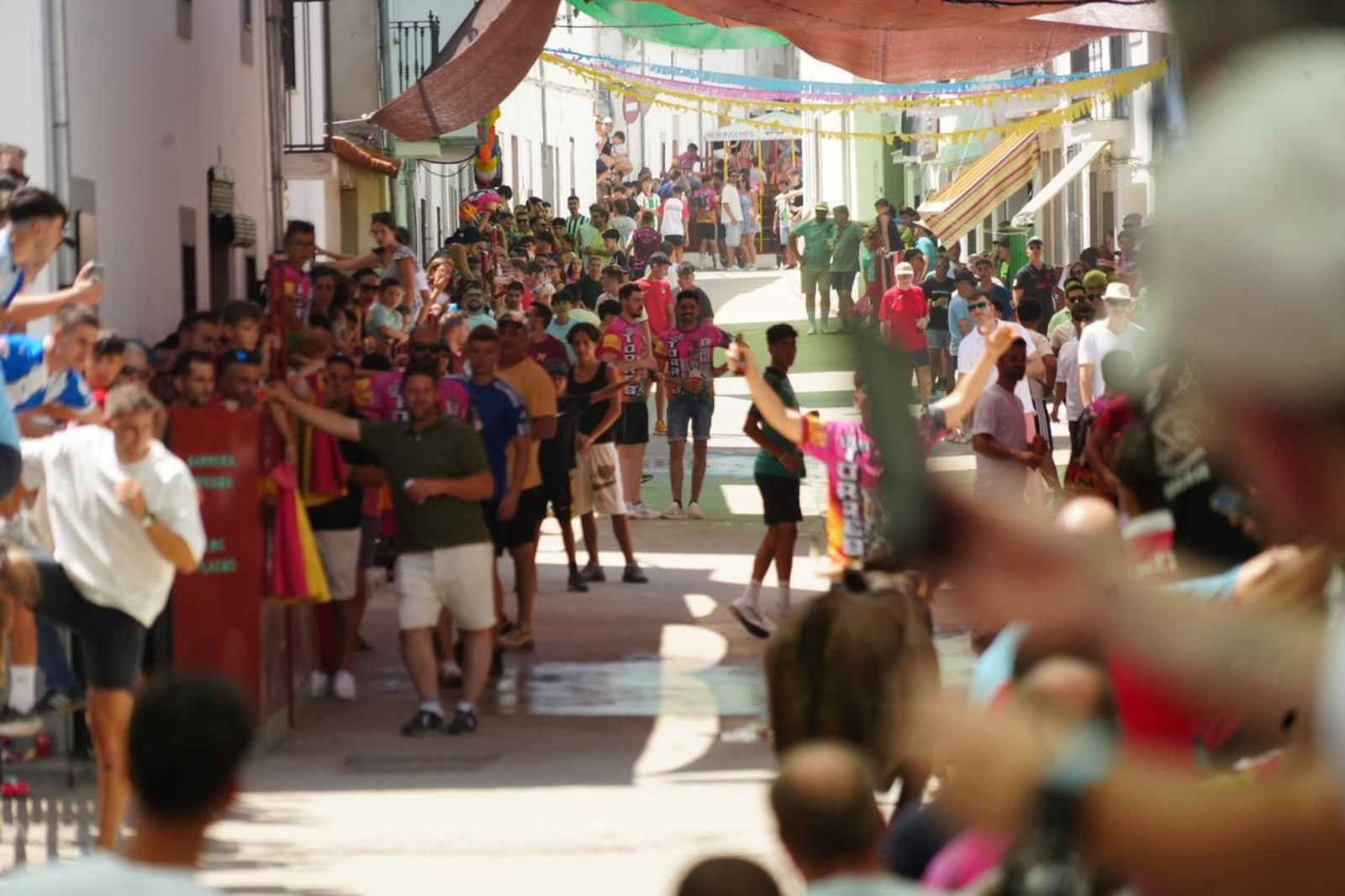 Las mejores imágenes del Día del Caballo y las Sevillanas de Dos Torres
