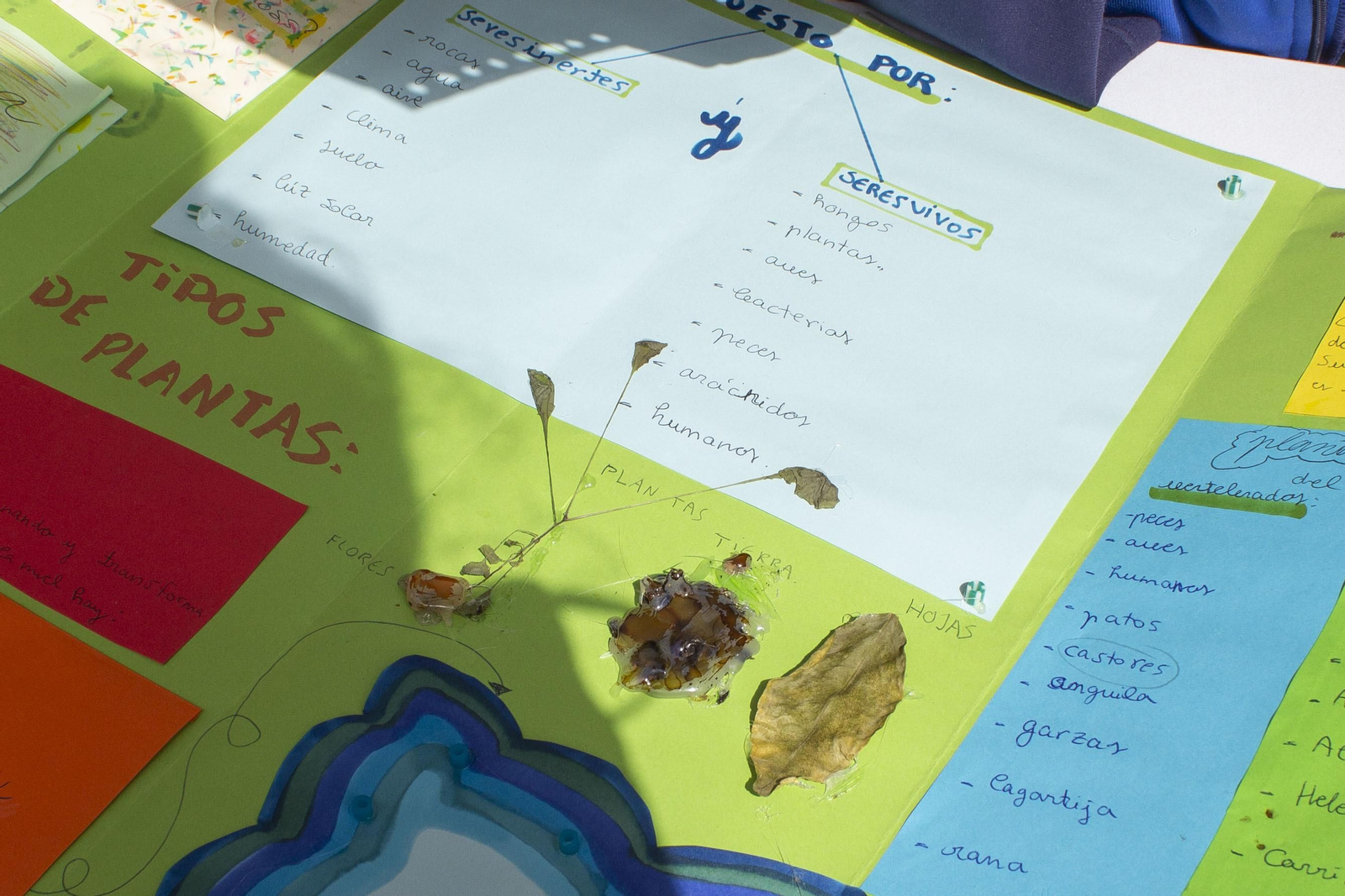 Fotos de Diverciencia Algeciras 2023 en Plaza Marqués de Verboom.