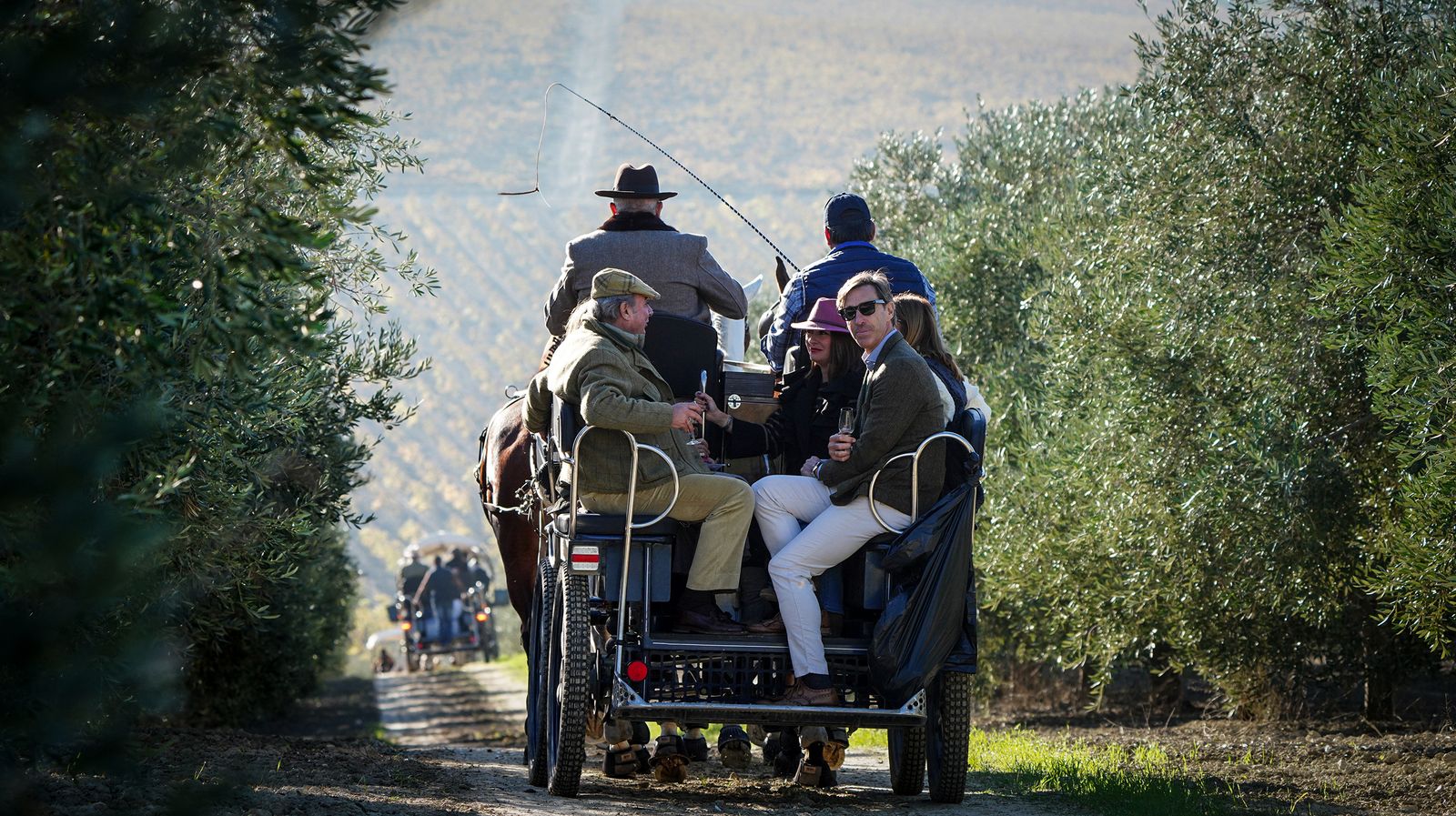 I Ruta de Carruajes Viñas de Jerez