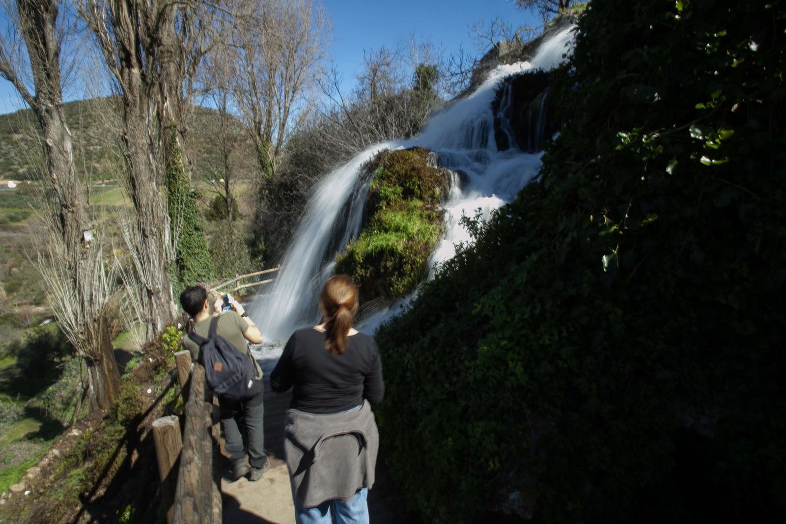 Las lluvias transforman el paisaje en el interior de Málaga, en imágenes