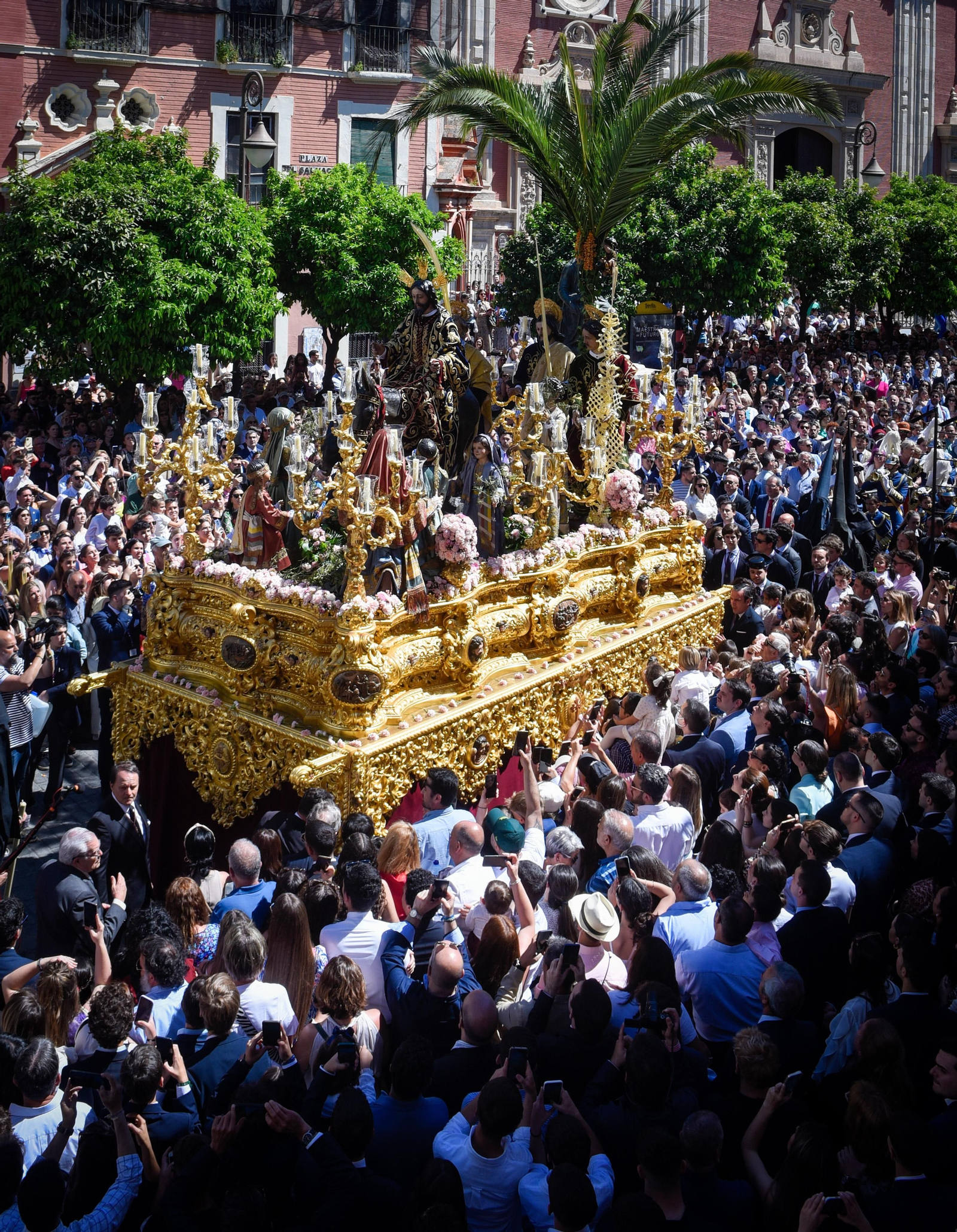 La Hermandad de La Borriquita, en imágenes