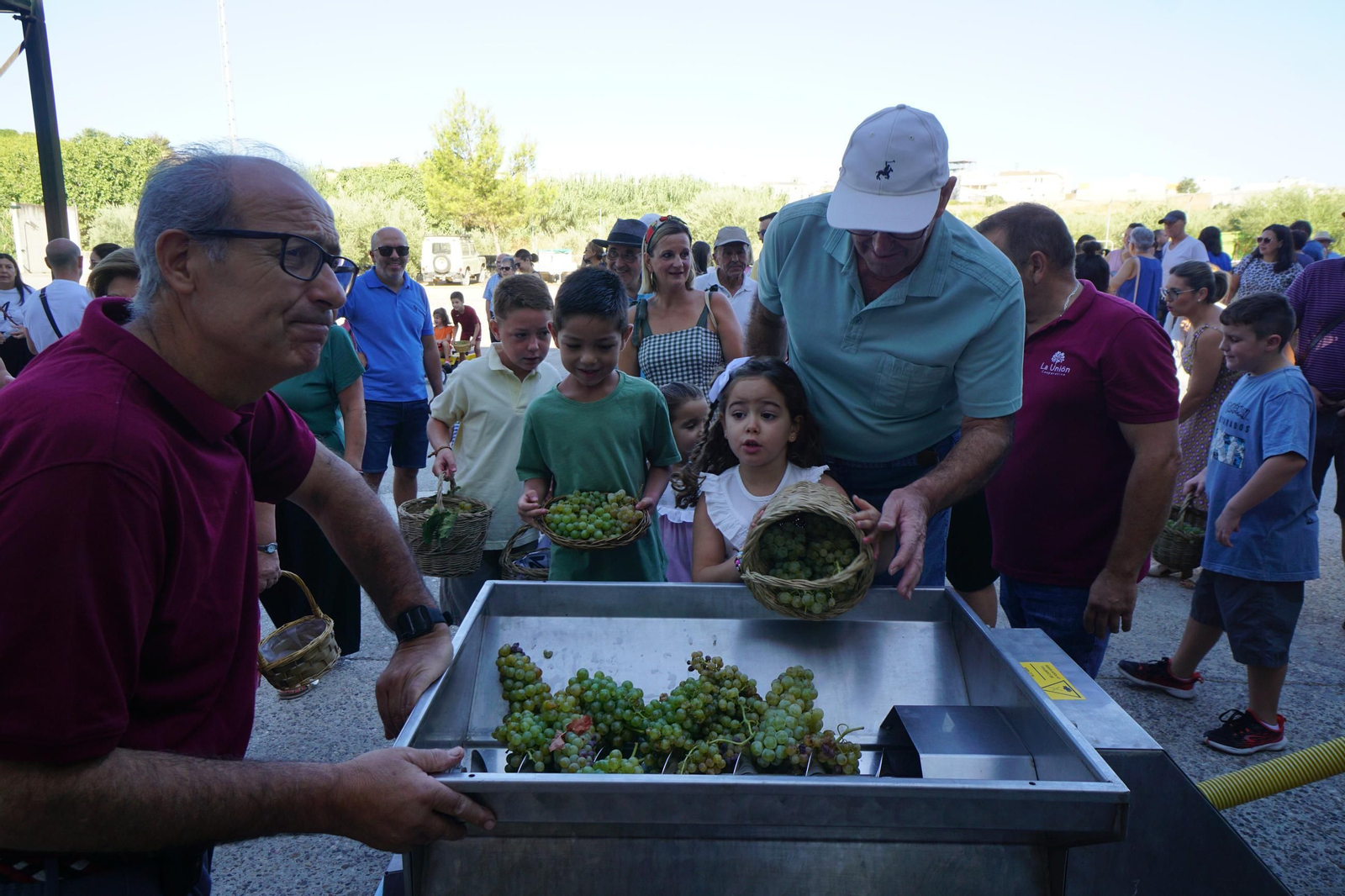 Vendimia infantil de Montilla