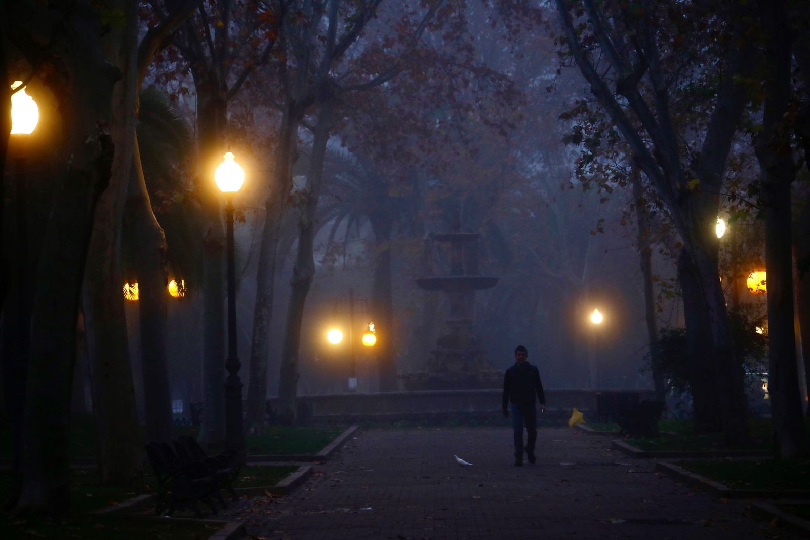 Los jardines de Colón amanecen bajo la niebla.