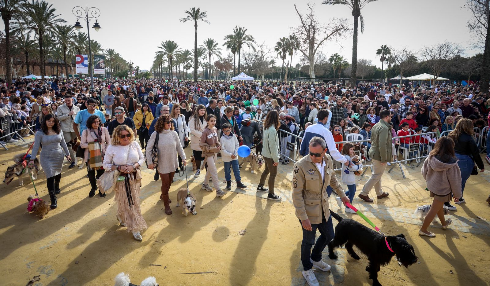 Fiesta de san Antón 2024 en Jerez