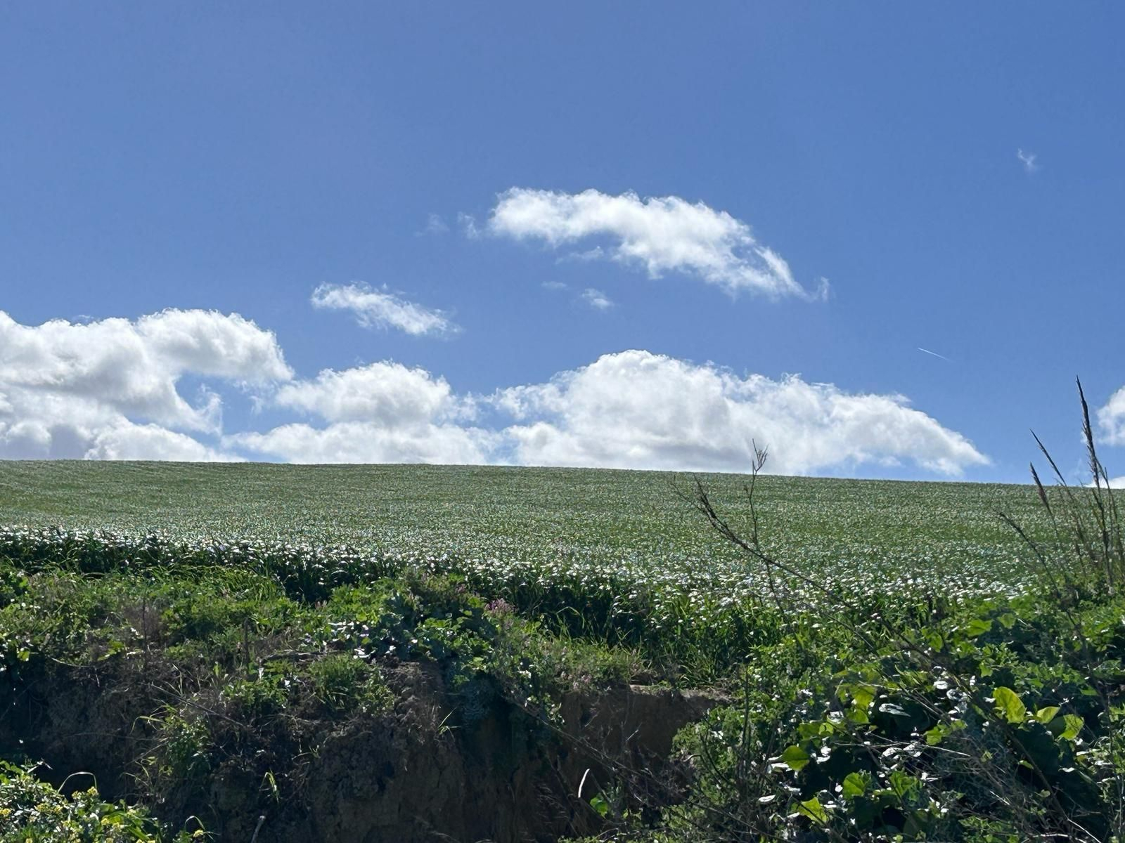 Sendero a las afueras de Jerez imperdible: una venta que da la bienvenida y culmina en una laguna