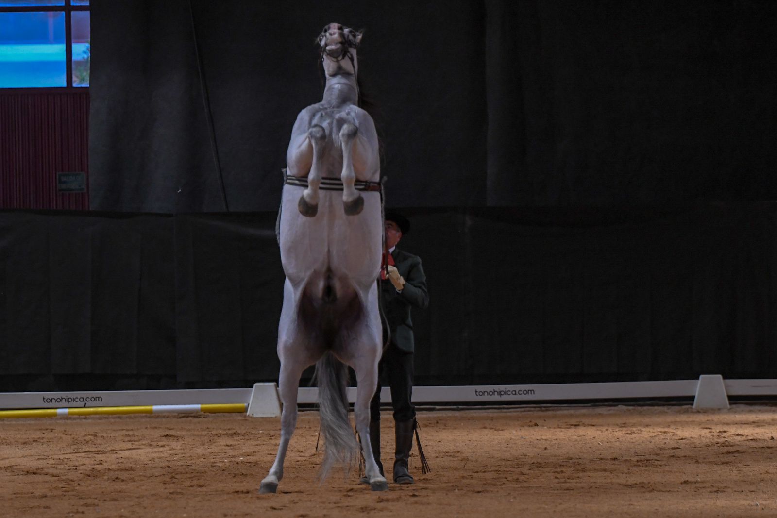 Las mejores imágenes de Concab