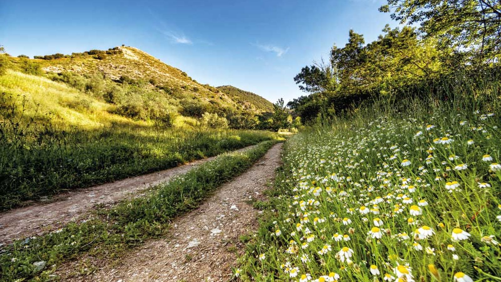 Un paseo por Frailes con vistas a la Sierra Sur de Jaén y lo mejor de su gastronomía es el objetivo de esta actividad.