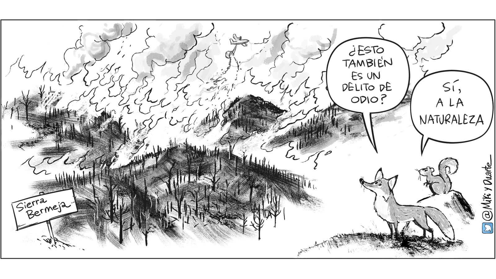 El incendio de Sierra Bermeja