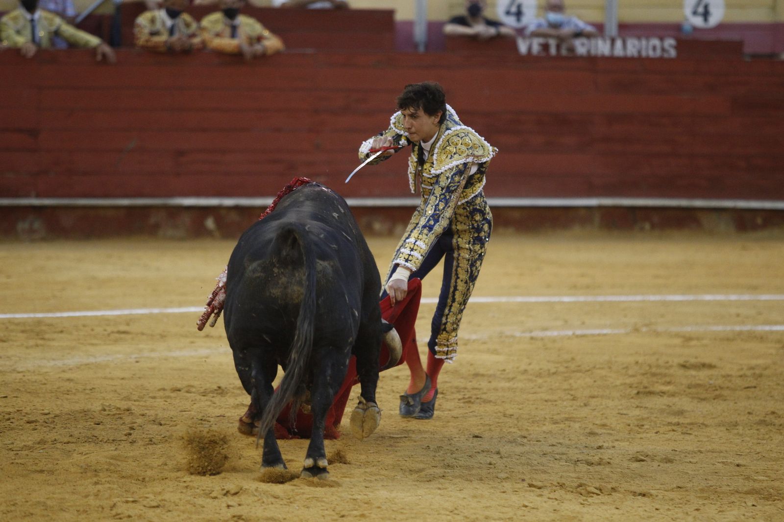 Fotogalería segunda corrida de toros Feria de Almeria 2021