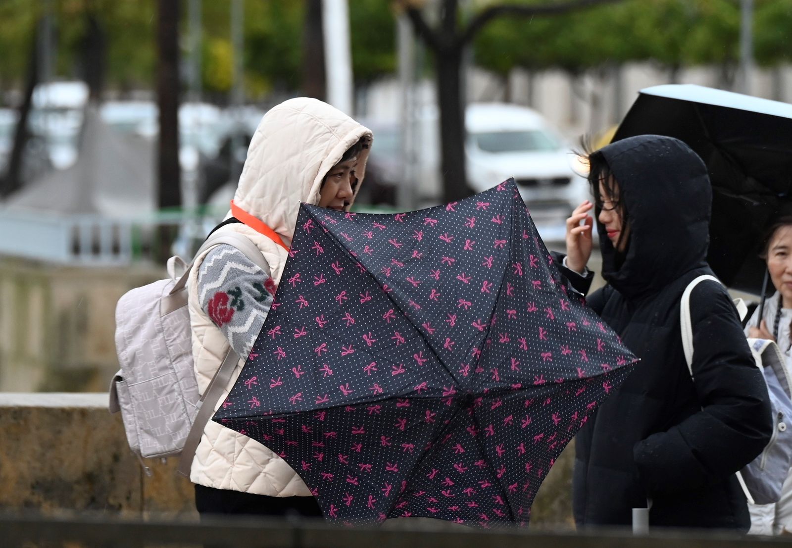 Un grupo de turistas asiáticos se protege de la lluvia en el Casco Histórico de Córdoba.