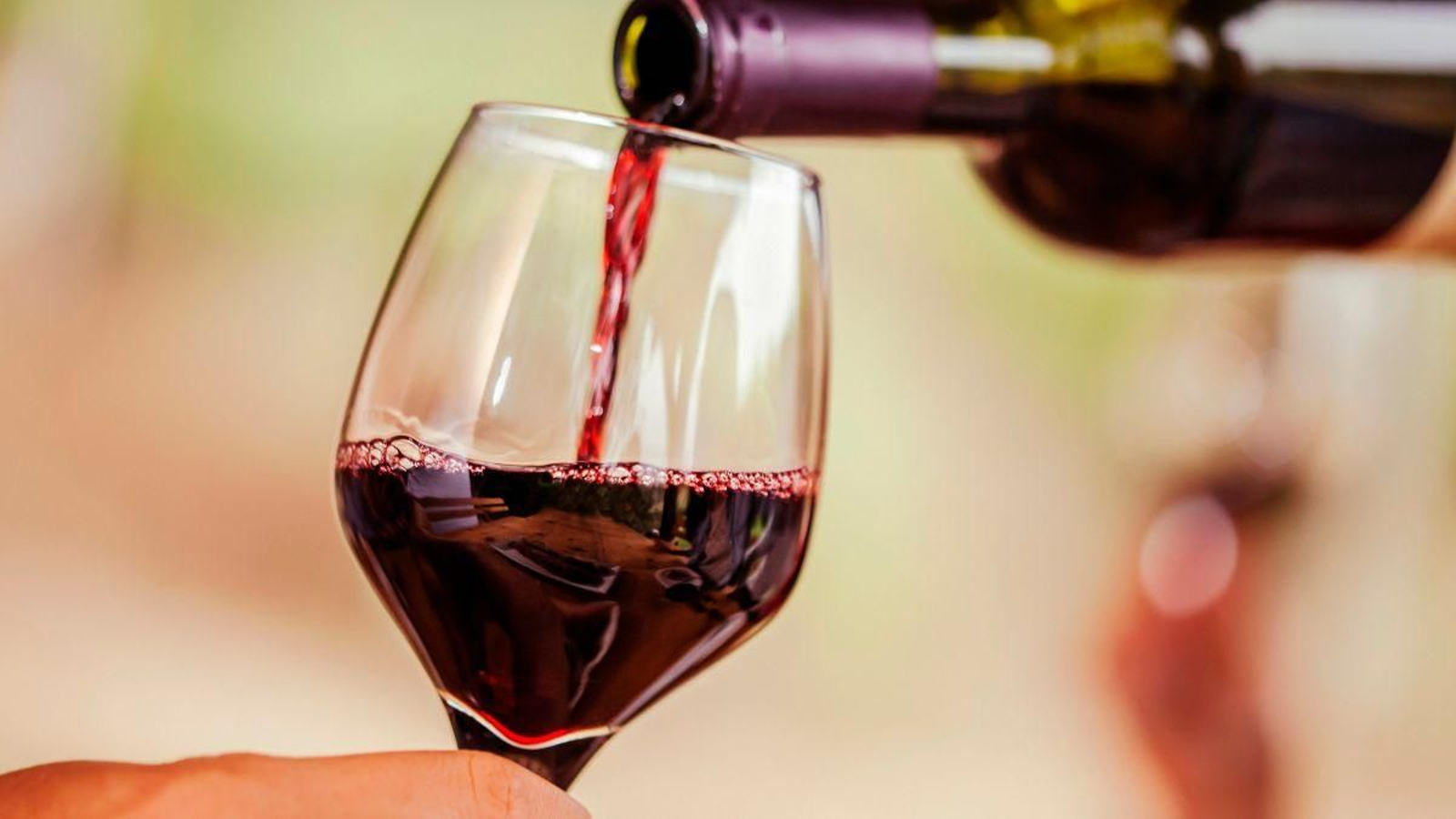 Los mejores vinos del mundo según expertos enólogos