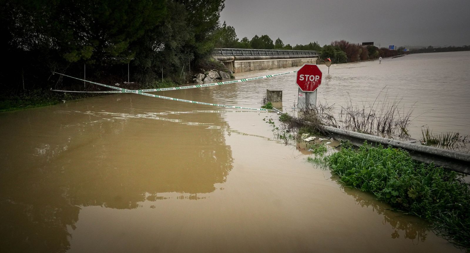 Imágenes de las graves consecuencias de la crecida del rio Guadalete en la zona rural de Jerez