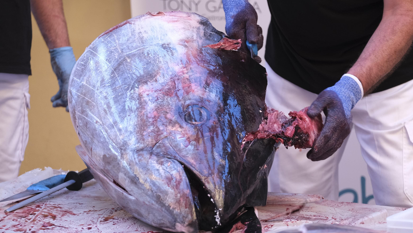 Jornadas del ronqueo del atún de almadraba en el Espacio Gastronómico Tony García, en Almería