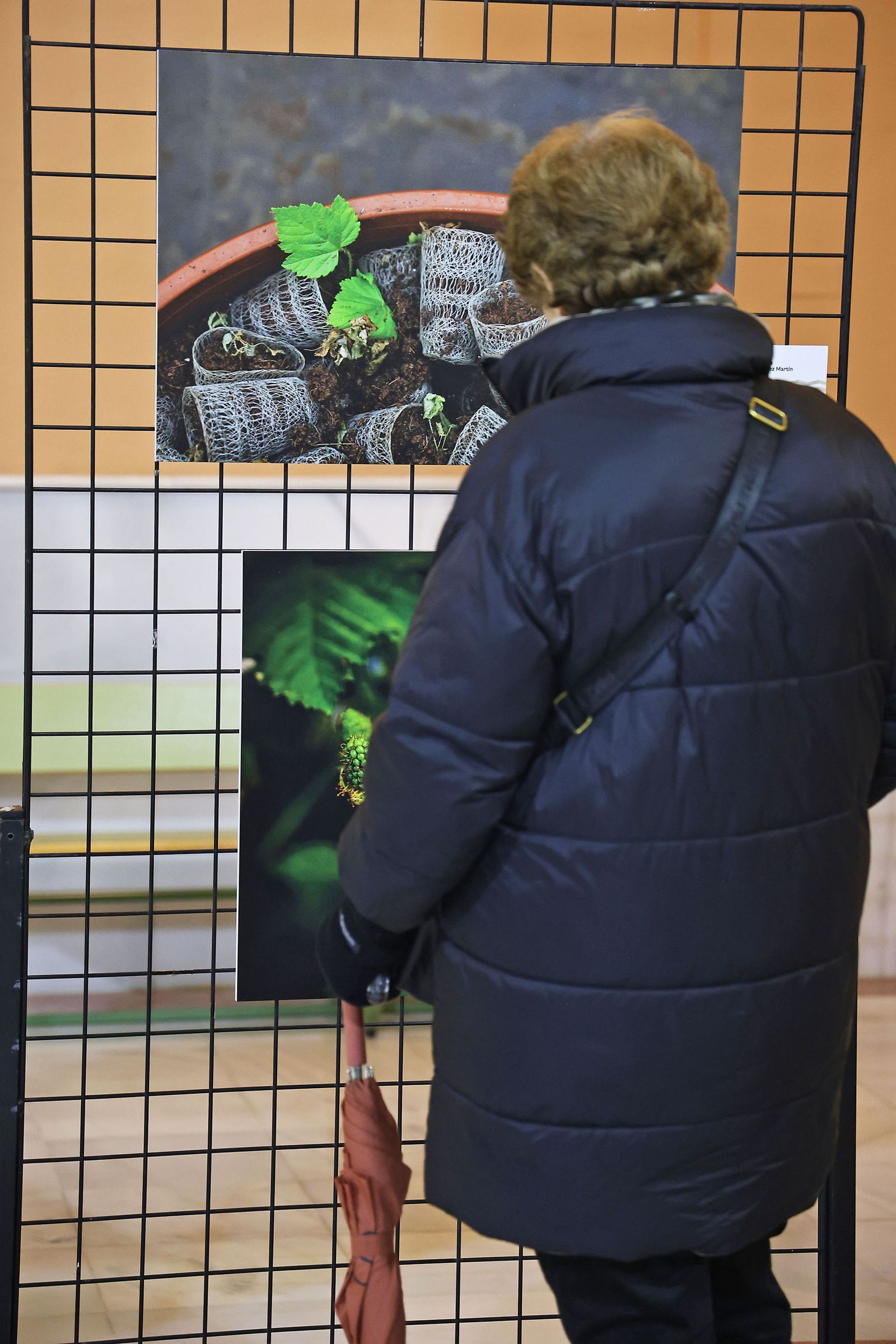 Exposición del I Rally Fotográfico de La Canastita