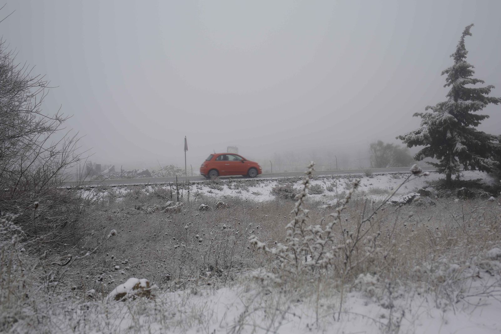 La nevada en el interior de Málaga, en imágenes
