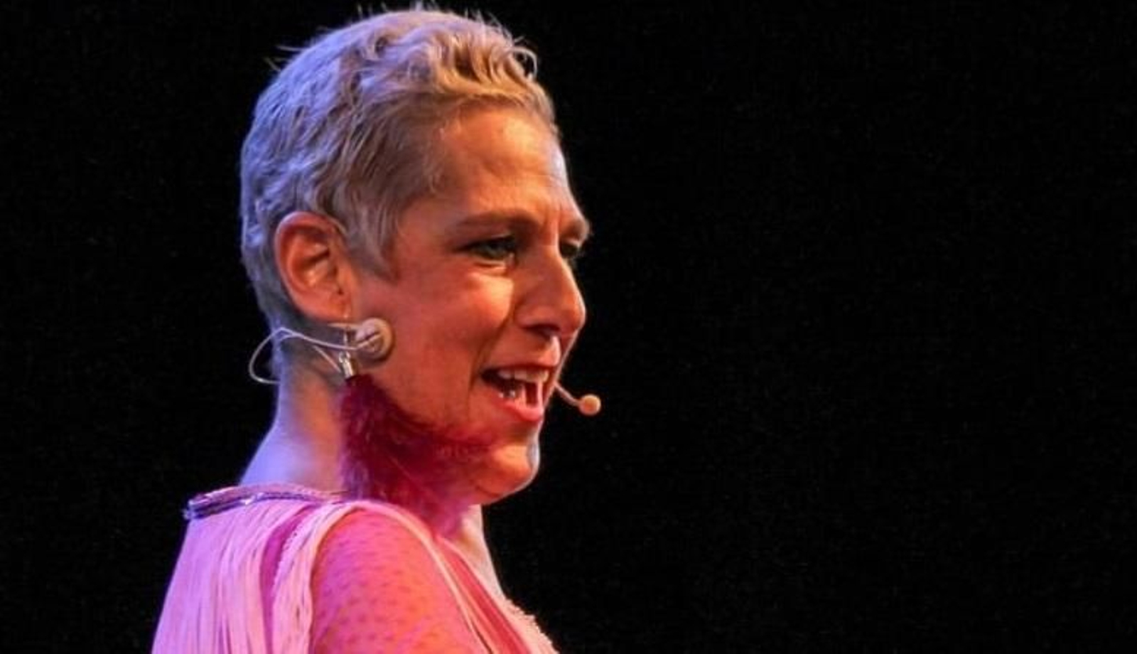 Carmen Bejarano y María José Coca protagonizan los nuevos espectáculos de flamenco de la Venta de Vargas