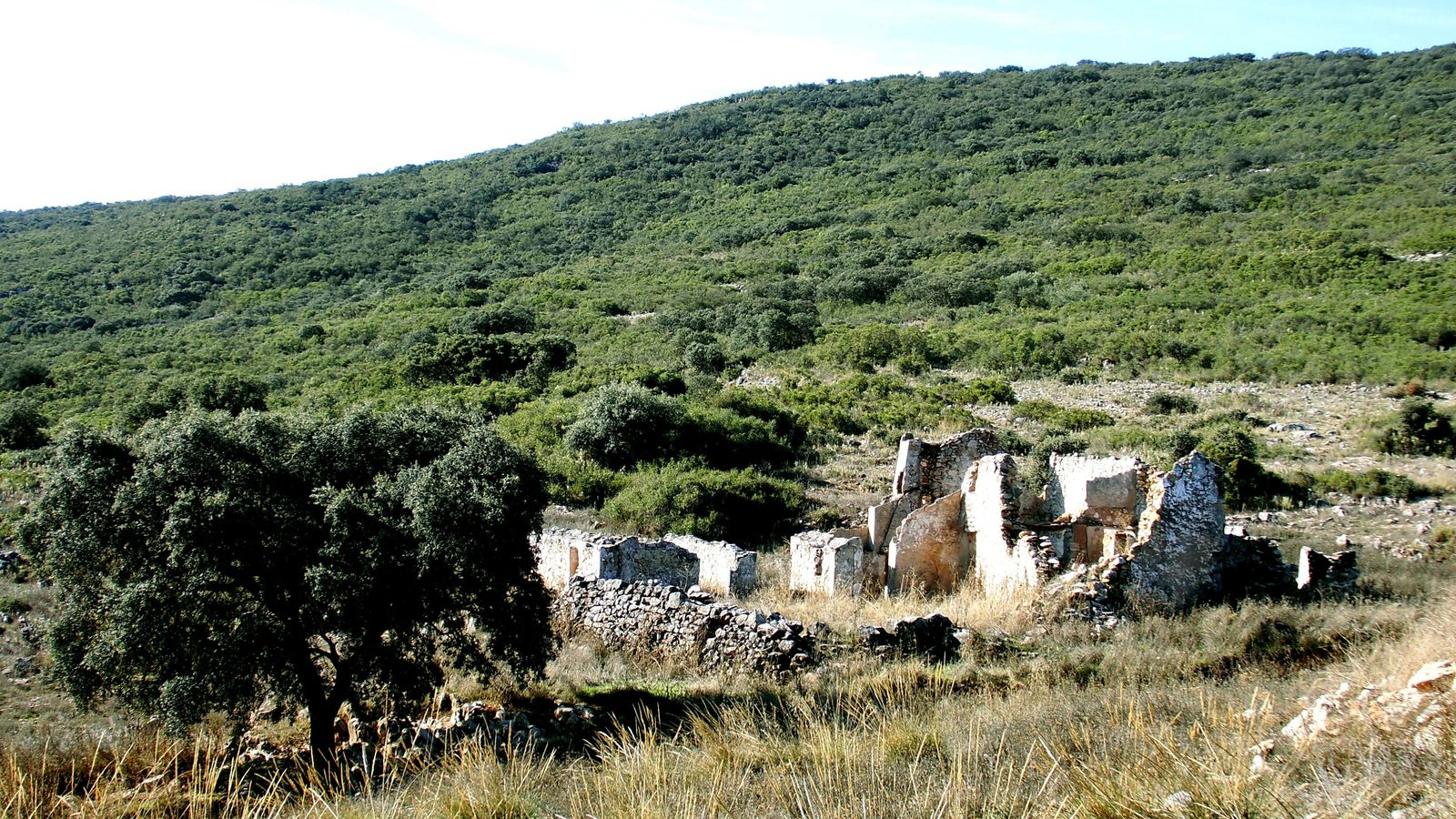 La casilla de la Sierra se encuentra en la isla forestal que es la sierra del Pedroso.