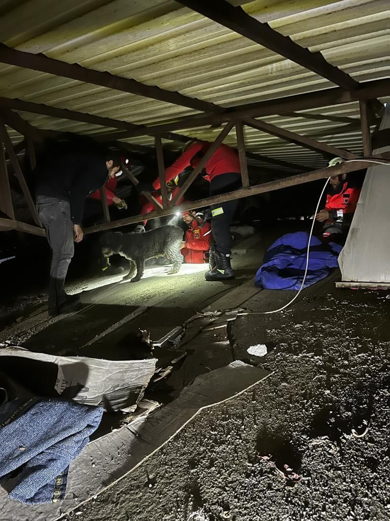 Los profesionales del colectivos Bomberos del Mundo desplazados a Turquía.