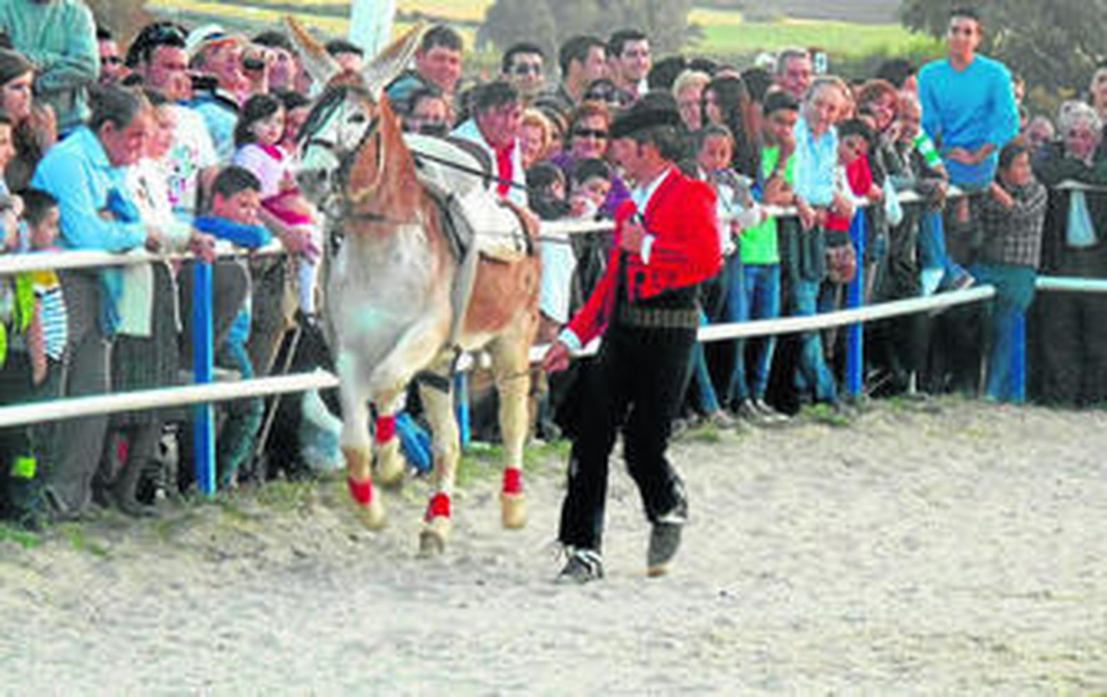 El caballo como motor del turismo