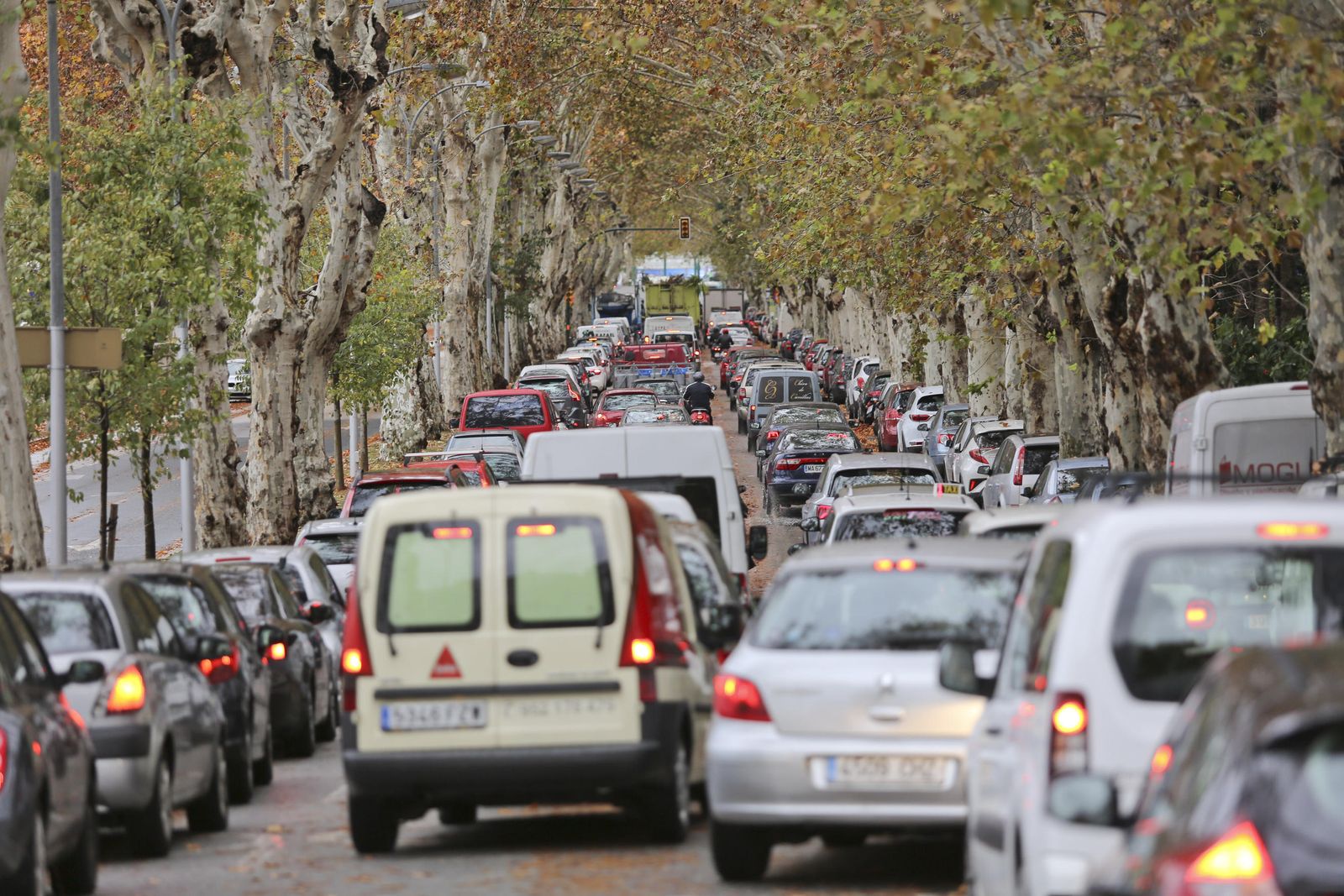 Las consecuencias del paso de 'Ana' por Málaga
