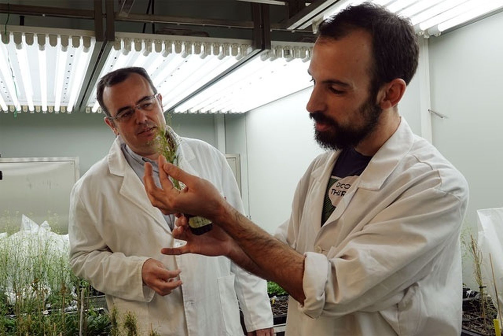 Los investigadores Jorge El-Azaz y Fernando de la Torre, impulsores de este trabajo.