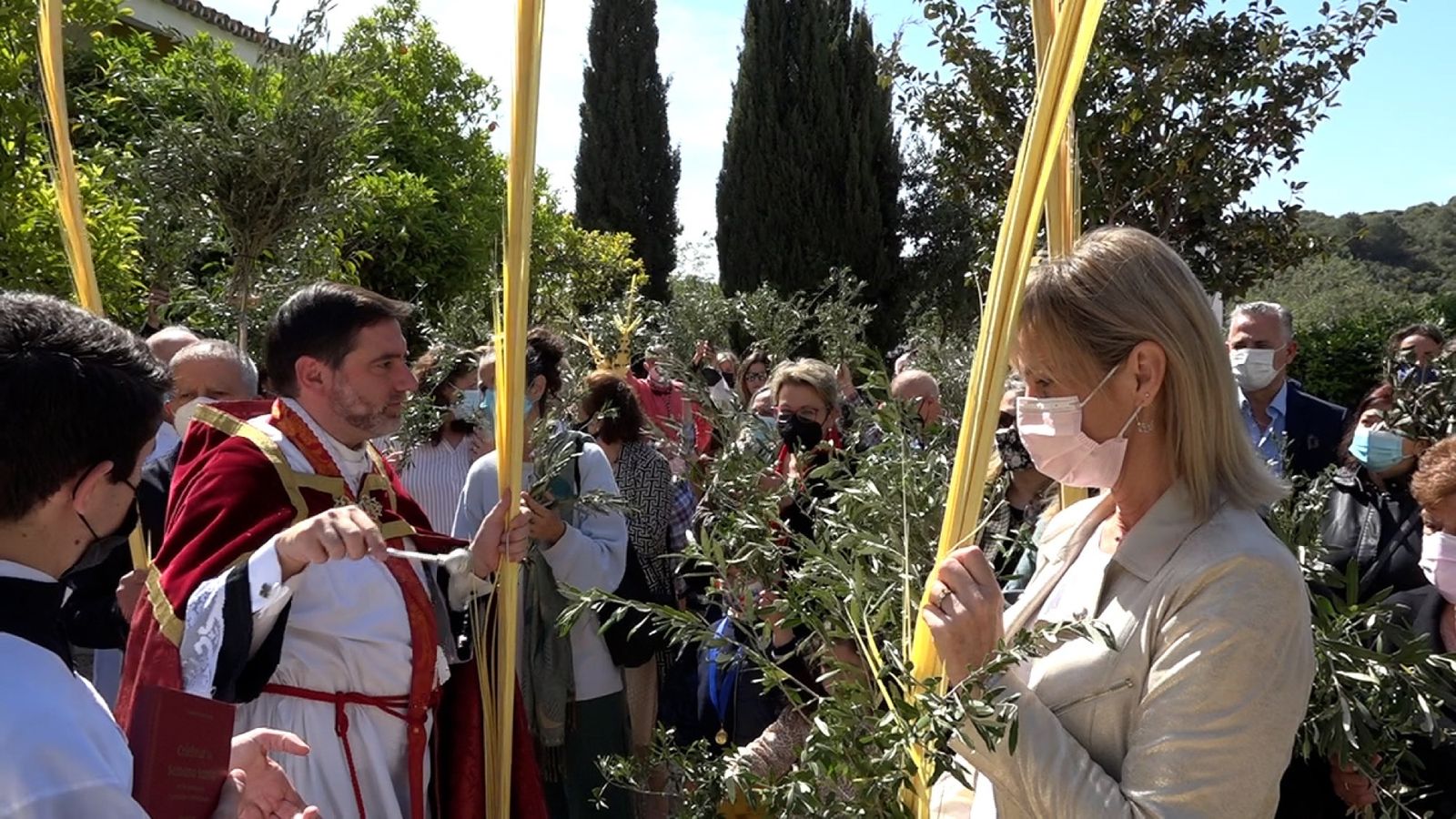Las fotos del domingo de palmas y olivos en San Roque