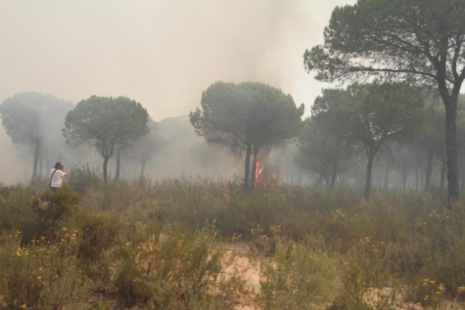 Las imágenes del incendio en Moguer y Mazagón