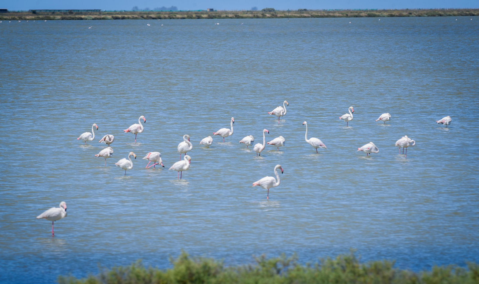 Imágenes de la finca Veta la Palma