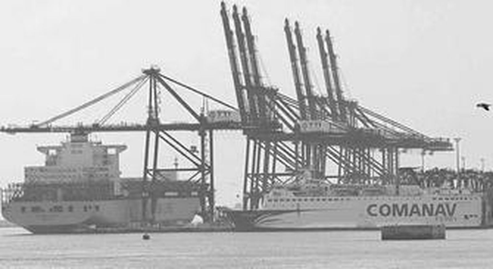 Un buque de Maersk Line realiza operaciones en TTI Algeciras.