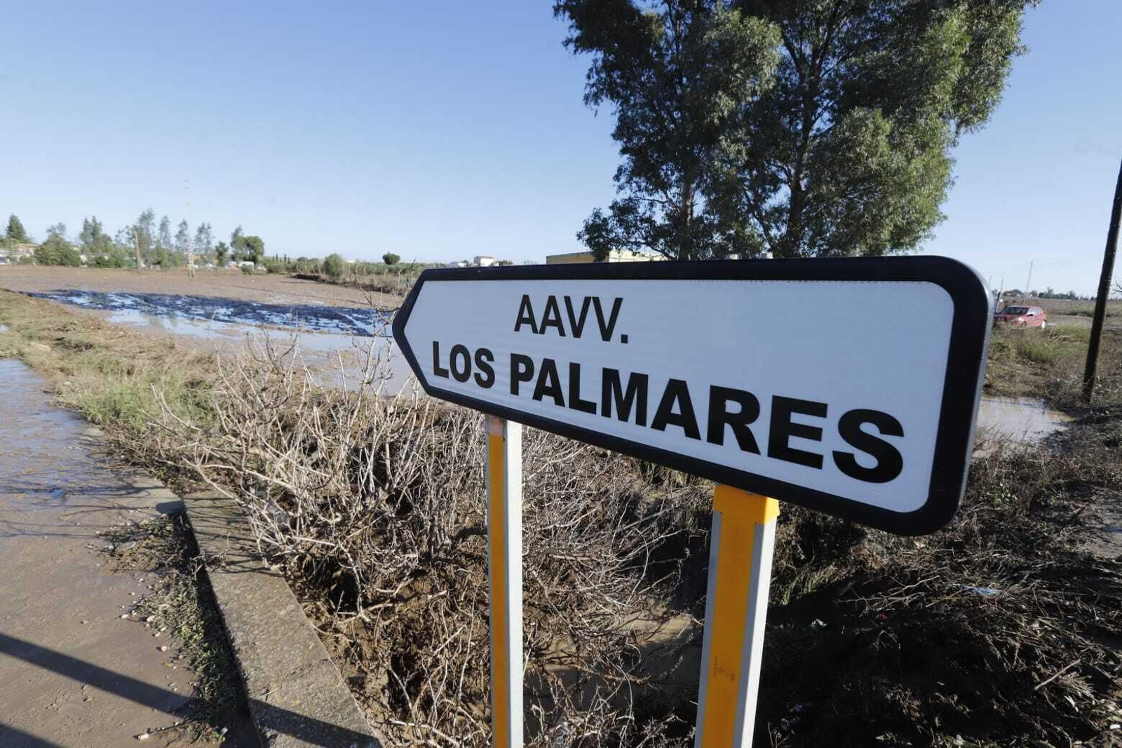 Las imágenes de las grandes inundaciones en Los Palmares entre San Juan y Trigueros