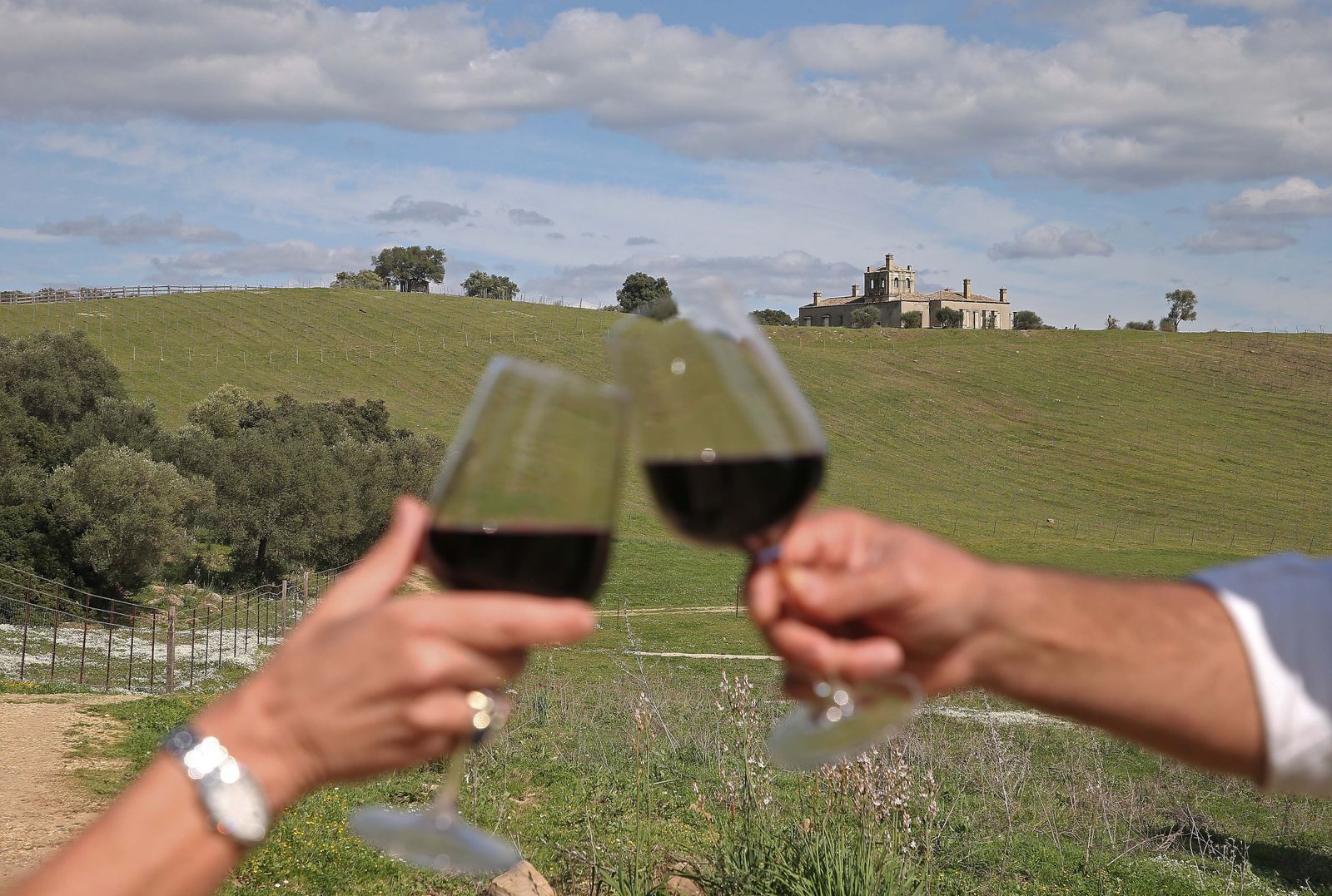 Ribera de Hozgarganta, el primer vino tinto del Campo de Gibraltar
