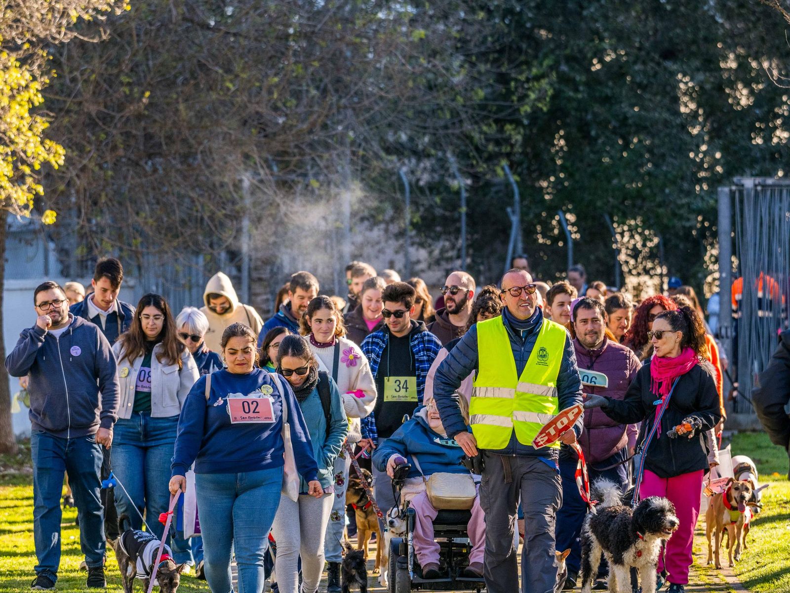 Las imágenes de San Antón 2025 en San Fernando