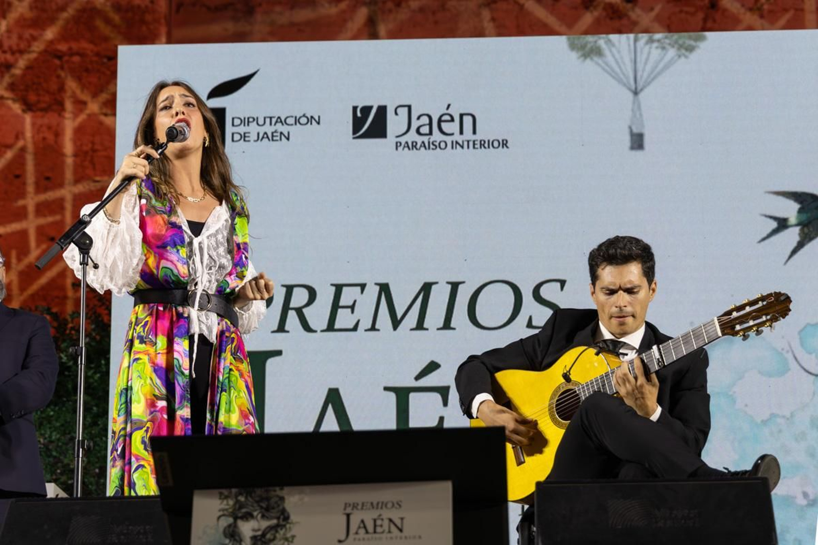 Entrega de Premios Jaén Paraíso Interior 2024, en imágenes