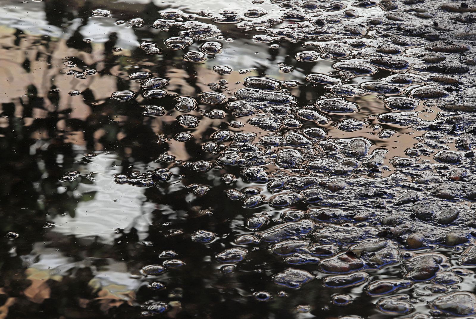 Las imágenes más destacadas del viernes 25 de marzo en Huelva